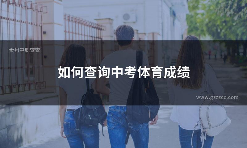 如何查询中考体育成绩
