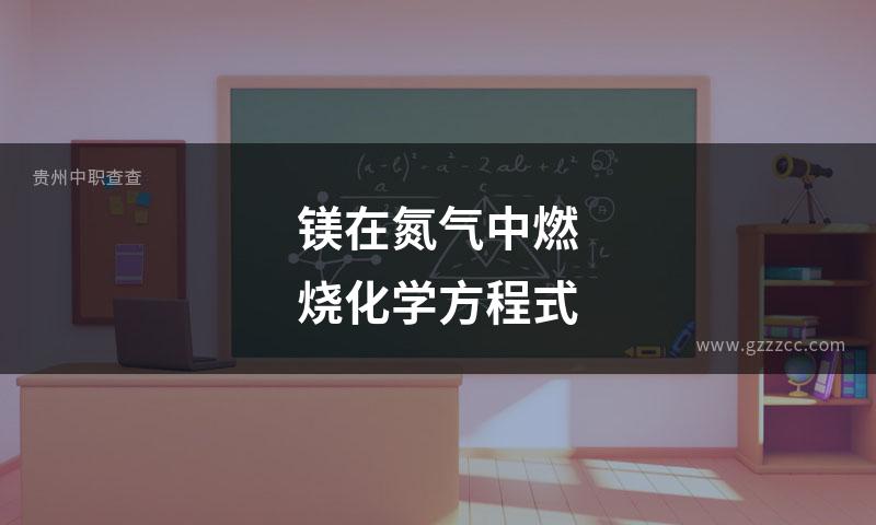 镁在氮气中燃烧化学方程式