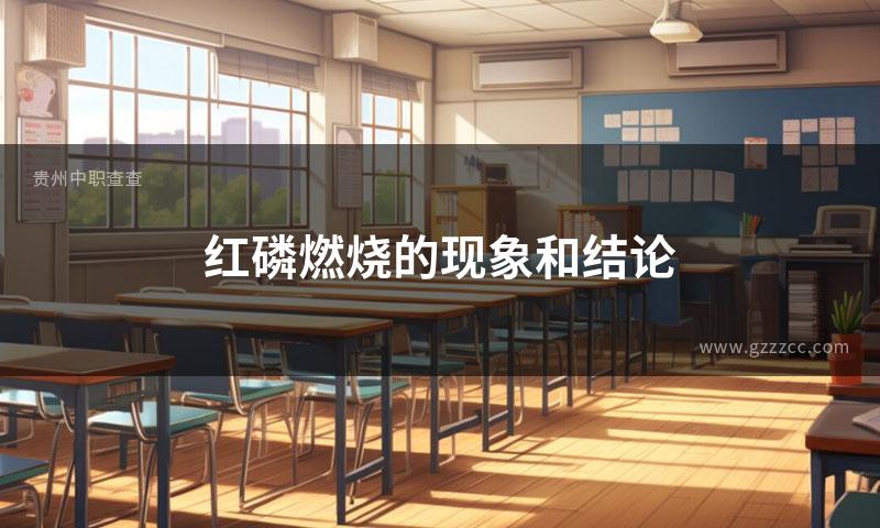 红磷燃烧的现象和结论