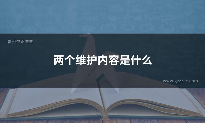 两个维护内容是什么
