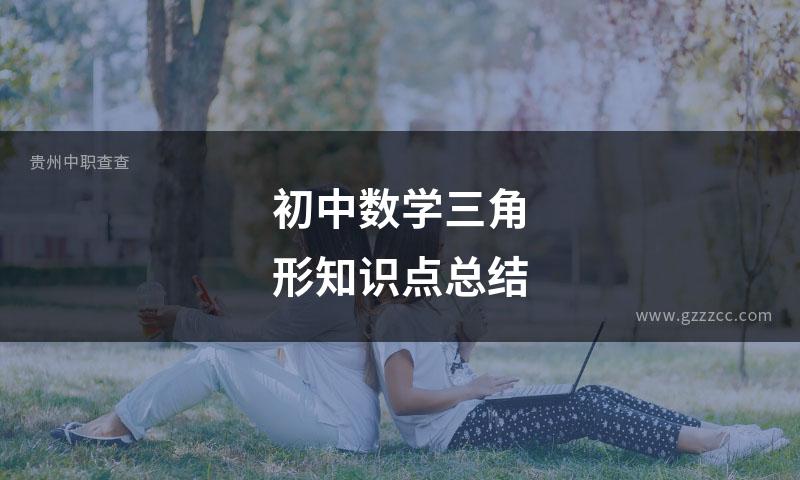 初中数学三角形知识点总结