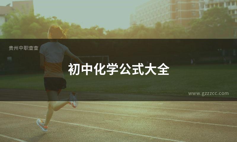 初中化学公式大全