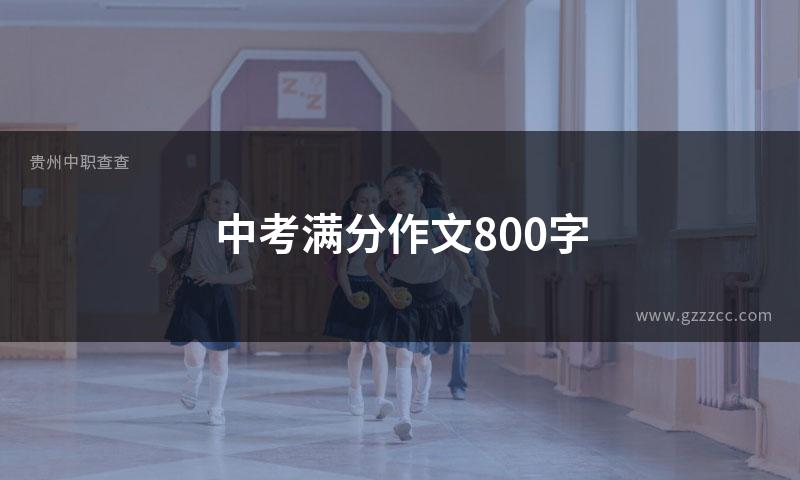 中考满分作文800字