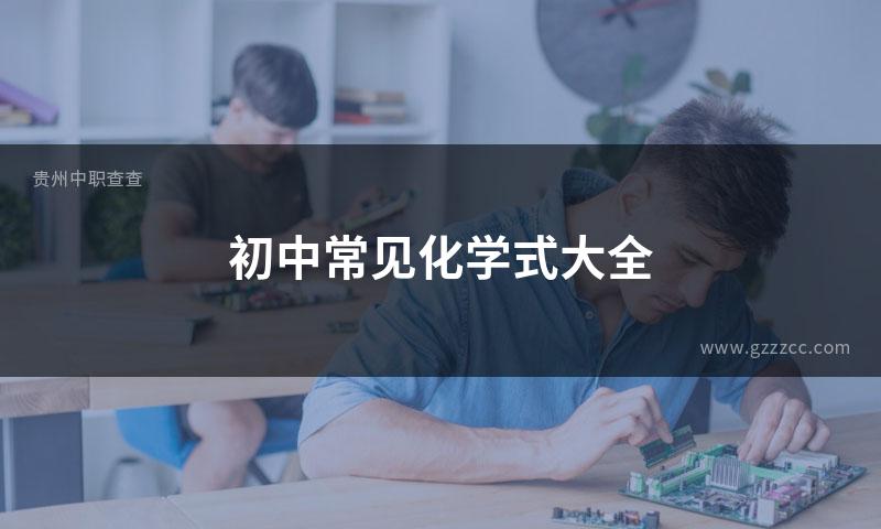 初中常见化学式大全