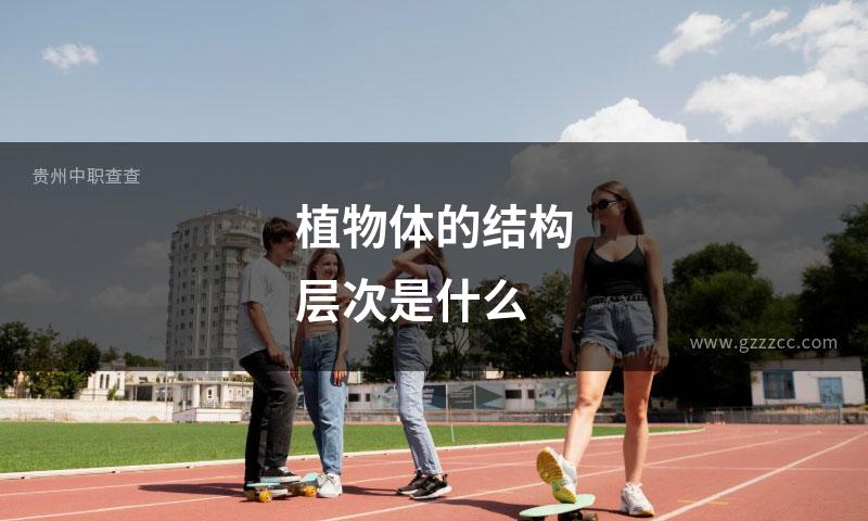植物体的结构层次是什么