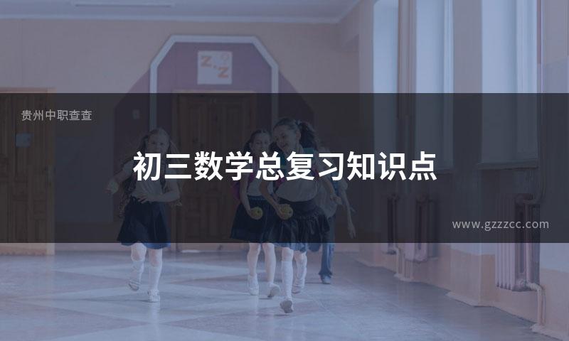初三数学总复习知识点