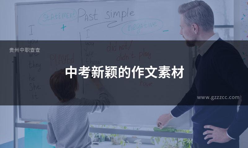 中考新颖的作文素材