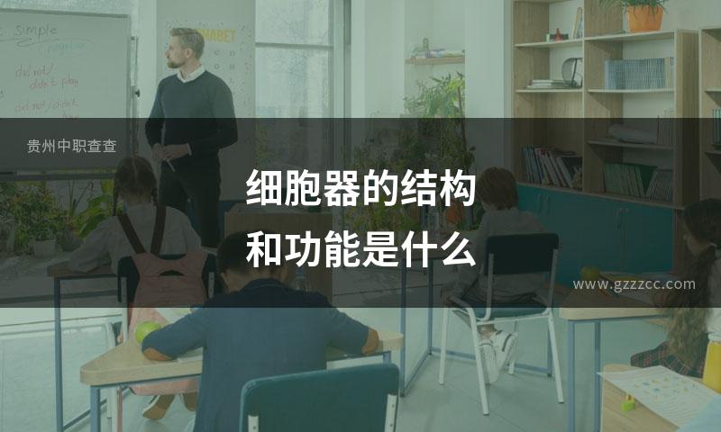 细胞器的结构和功能是什么