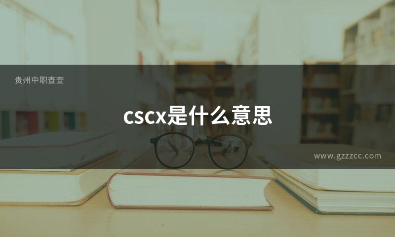 cscx是什么意思