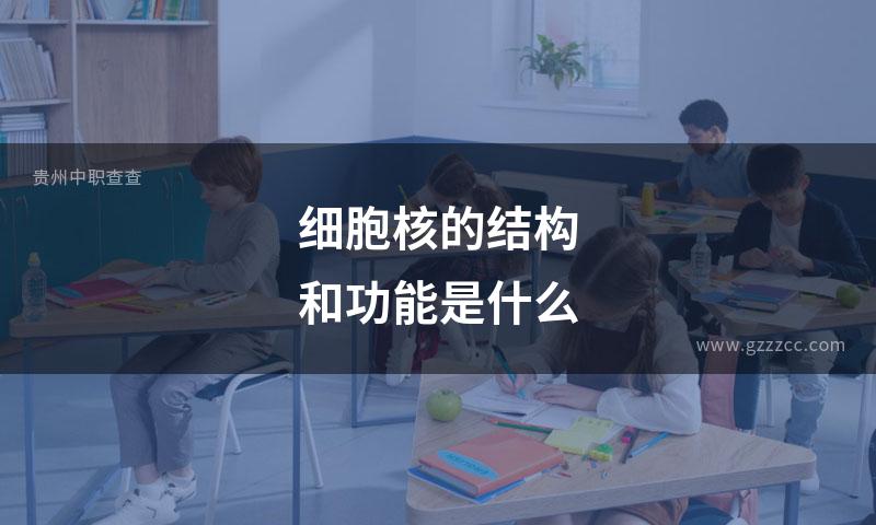细胞核的结构和功能是什么