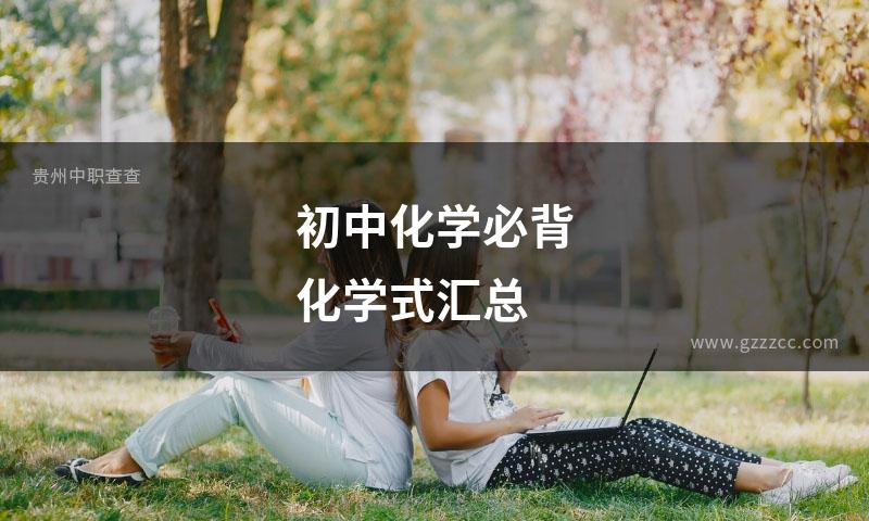 初中化学必背化学式汇总