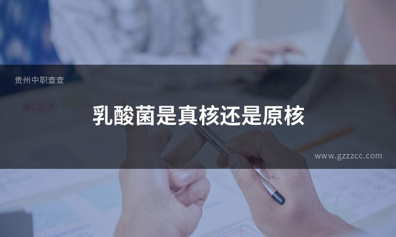 乳酸菌是真核还是原核