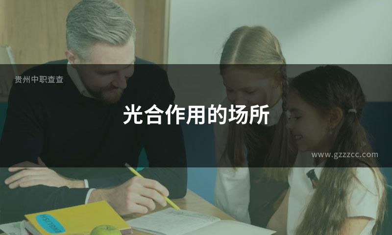 光合作用的场所