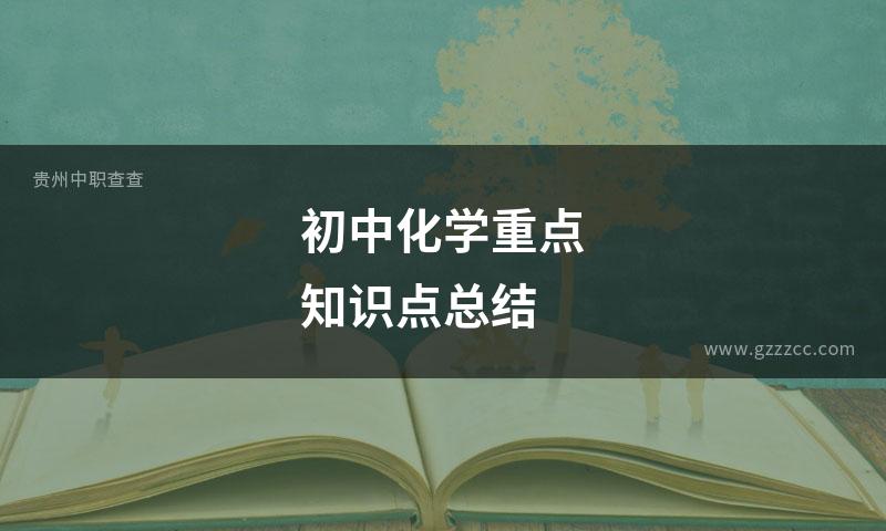 初中化学重点知识点总结
