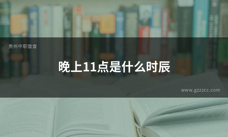 晚上11点是什么时辰