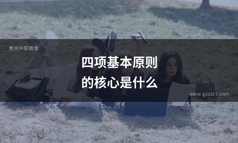 四项基本原则的核心是什么
