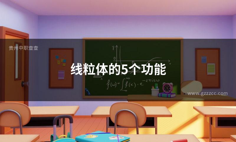 线粒体的5个功能