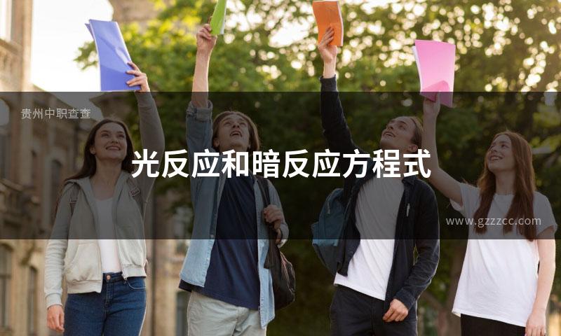 光反应和暗反应方程式