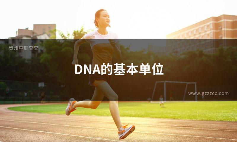 DNA的基本单位