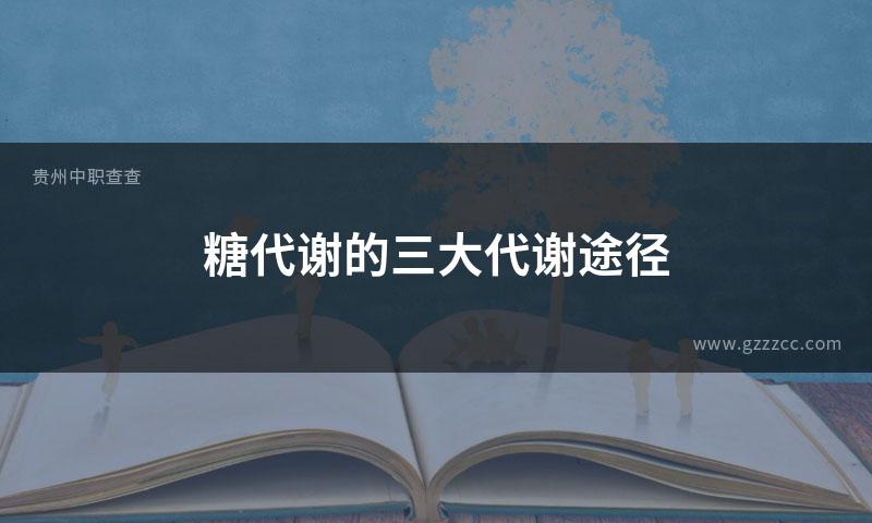 糖代谢的三大代谢途径
