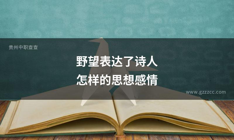 野望表达了诗人怎样的思想感情