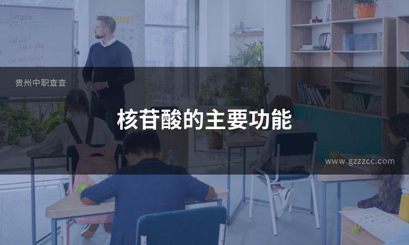 核苷酸的主要功能