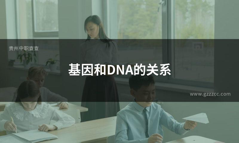 基因和DNA的关系